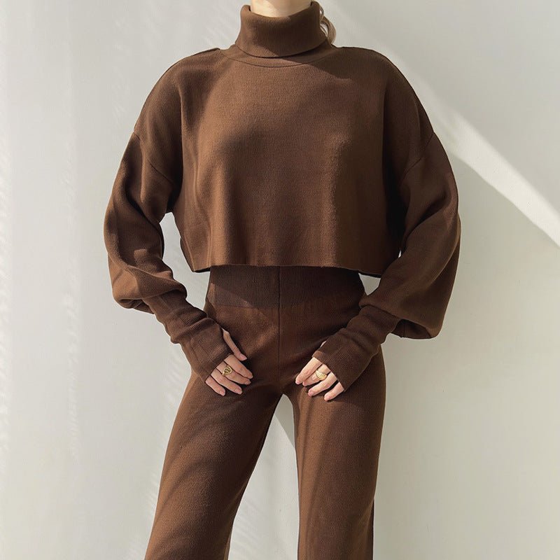 Autumn And Winter New European And American Turtleneck Loose Long Sleeve Top Female Casual Fashion Set - LADYLINE X