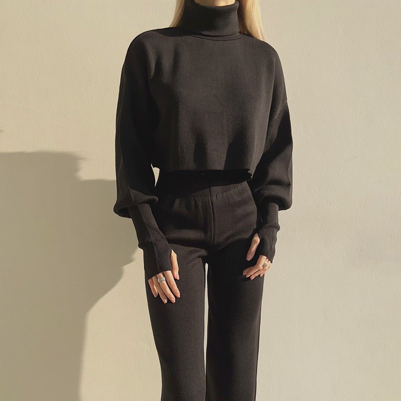 Autumn And Winter New European And American Turtleneck Loose Long Sleeve Top Female Casual Fashion Set - LADYLINE X
