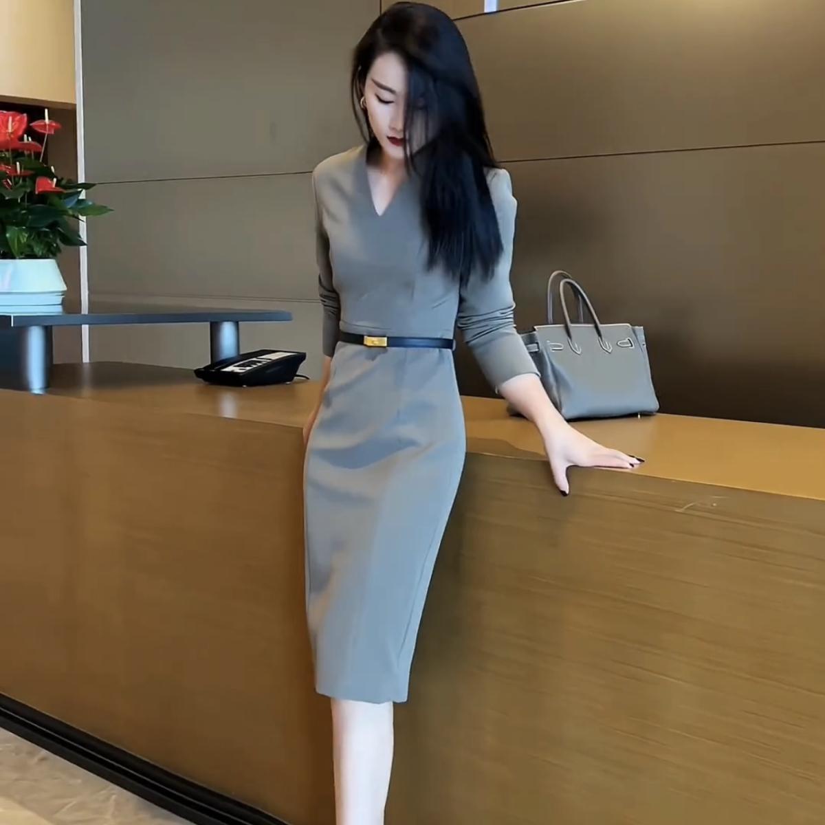 Womens French Style Formal Gray Dress - LADYLINE X
