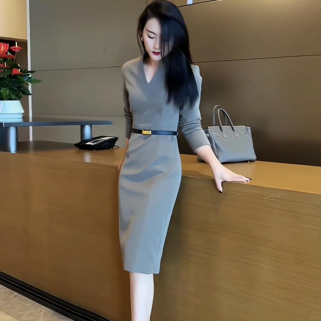 Womens French Style Formal Gray Dress - LADYLINE X