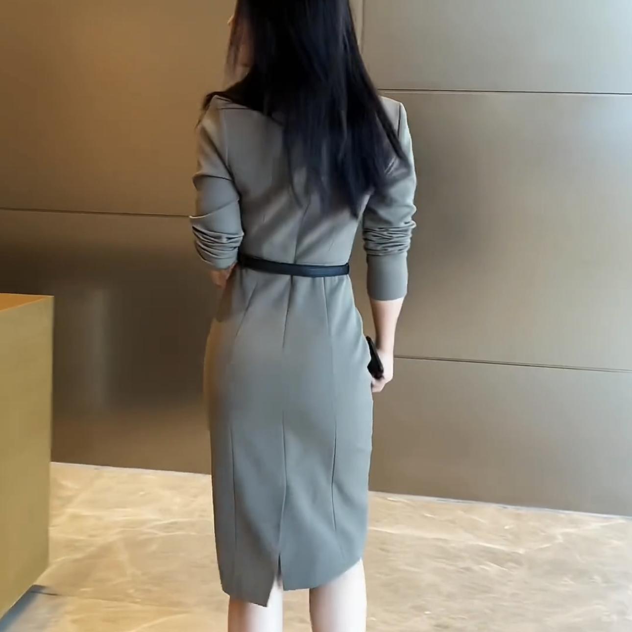 Womens French Style Formal Gray Dress - LADYLINE X